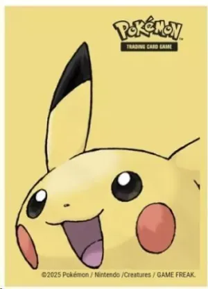 POKEMON TCG FUNDAS STANDARD (65 UNIDADES) PIKACHU