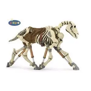 PAPO CABALLO ESQUELETO                                                     