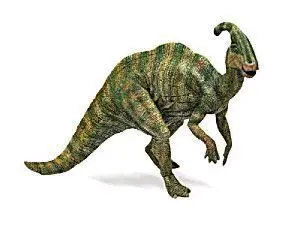 PAPO PARASSUROLOPHUS                                                       