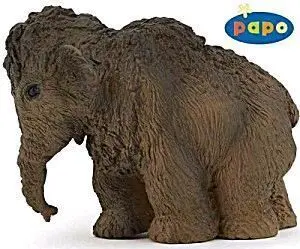 PAPO MAMUT CRIA                                                            