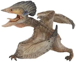 PAPO TUPUXUARA                                                             