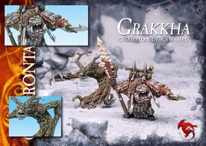 CONFRON: GRAKKHA, CAMPEON DE KAMAHRU                                       