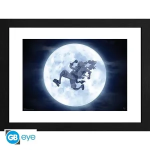 ONE PIECE LAMINA ENMARCADA NIKA 30X40 CM
