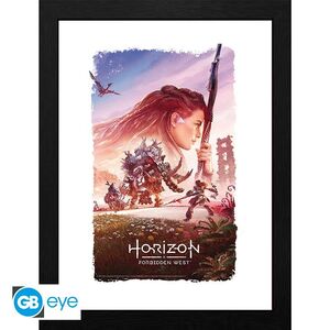 HORIZON II FORBIDDEN WEST CUADRO KEY ART 30X40CM