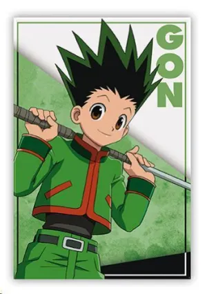 HUNTER X HUNTER IMÁN GON