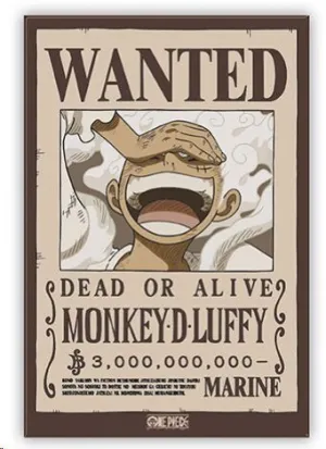 ONE PIECE IMÁN SE BUSCA LUFFY