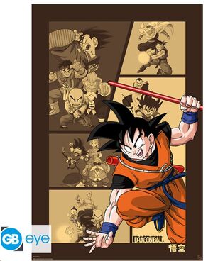 DRAGON BALL POSTER GUKO RETRO 91,5 X 61 CM
