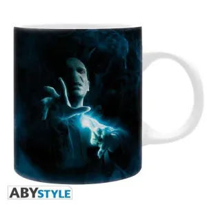 HARRY POTTER TAZA 320 ML VOLDEMORT                                         