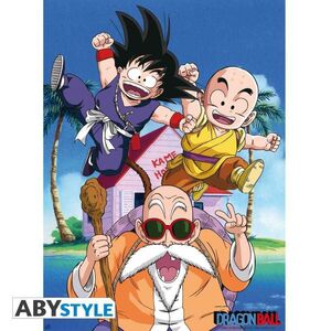 POSTER DRAGON BALL Z KAME TEAM 52 X 38 CM                                  