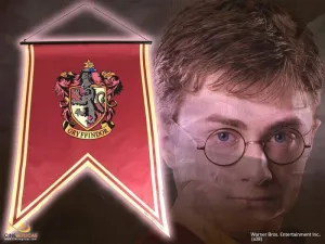 HARRY POTTER ESTANDARTE GRYFFINDOR 60X80CM                                 