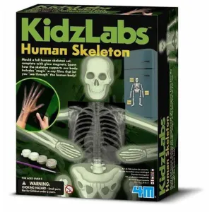 4M KIDZ LABS HUMAN SKELETON 4M KIDZ LABS HUMAN SKELETON