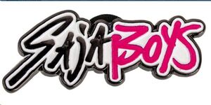 LAS GUERRERAS K-POP PIN SAJA BOYS