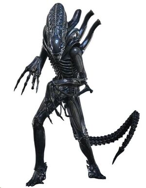 ALIEN MOVIE MASTERPIECE FIGURA 1/6 ALIEN WARRIOR (DELUXE VERSION) 39 CM