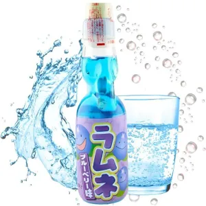 RAMUNE SABOR ARANDANOS HATA KOSEN 200ML RAMUNE SABOR ARANDANOS HATA KOSEN 200ML