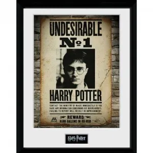 HARRY POTTER PÓSTER ENMARCADO INDESEABLE N-1