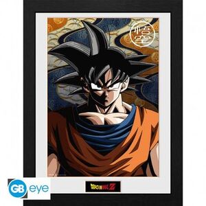 DRAGON BALL LÁMINA ENMARCADA GOKU