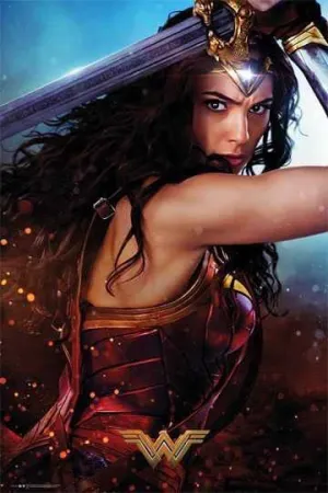 POSTER WONDER WOMAN DEFEND 61 X 91 CM                                      