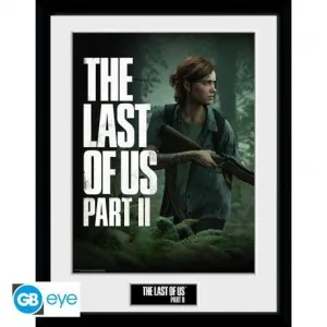 THE LAST OF US PART II POSTER ENMARCADO ELLIE 30X40