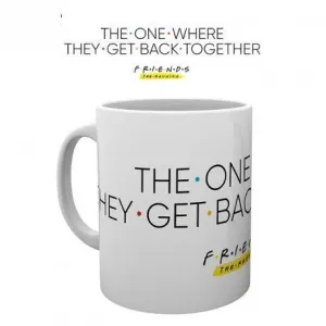 FRIENDS TAZA 320ML FRIENDS REUNION