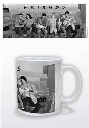 FRIENDS TAZA LUNCH ON A SKYSCRAPER                                         