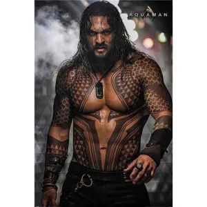 POSTER AQUAMAN PIN UP 61 X 91 CM                                           