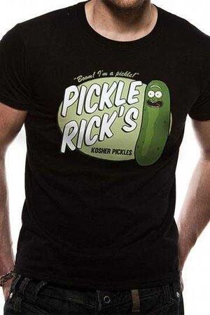 RICK Y MORTY CAMISETA CHICO KOSHER PICKLE T-L                              