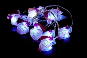 HARRY POTTER CADENA DE LUCES 2D LOVE POTION                                