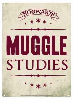 HARRY POTTER PLACA DE CHAPA MUGGLES STUDIES 21 X 15 CM                     
