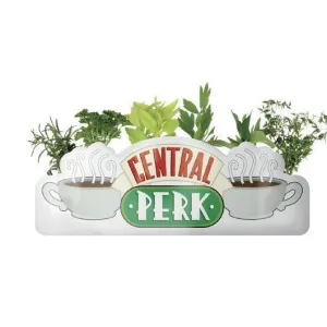 FRIENDS MACETERO DE MESA CENTRAL PERK