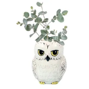 HARRY POTTER MACETERO DE PARED HEDWIG