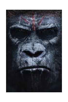 KOBA FIGURA 18 CM EL AMANECER DEL PLANETA DE LOS SIMIOS SERIE 1            