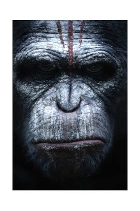 MAURICE FIGURA 18 CM EL AMANECER DEL PLANETA DE LOS SIMIOS SERIE 1         