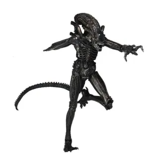 ALIENS FIG 18 CM GENOCIDE ALIEN BLACK SERIE 5                              