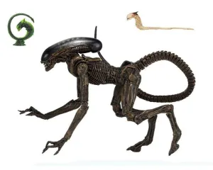 ALIEN 3 FIGURA 23 CM ULTIMATE DOG ALIEN SCALE ACTION                       