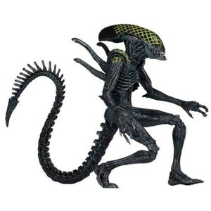 ALIENS FIGURA 18 CM GRID ALIEN SERIE 7                                     