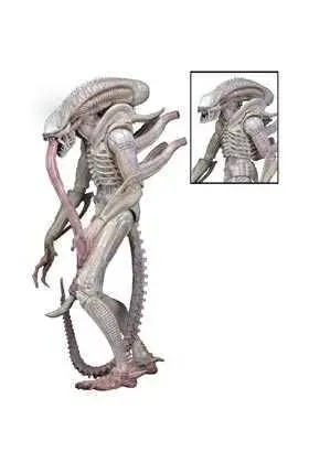 ALIENS EL REGRESO SERIE 9 FIGURA 18 CM ALIEN ALBINO                        