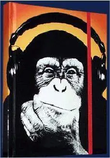 STEEZ CHIMPANCE CON AURICULARES DIARIO