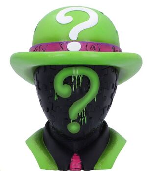 DC BOTE DE ALMACENAMIENTO RIDDLER