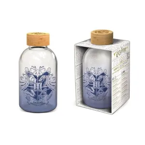 HARRY POTTER BOTELLA PEQUEÑA DE CRISTAL 620 ML