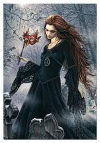 PUZZLE VICTORIA FRANCES DIABULUS 500                                       