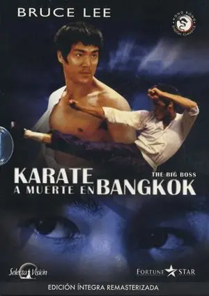 DVD KARATE A MUERTE EN BANGKOK - BRUCE LEE REMASTERIZADA                   