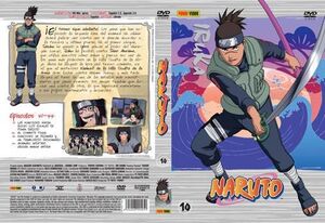 DVD NARUTO #10                                                             