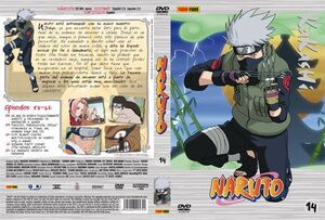 DVD NARUTO #14                                                             