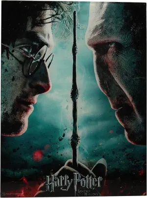 POSTER HARRY POTTER 30 X 40 CM HARRY POTTER Y VOLDEMORT                    