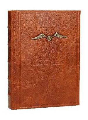 HARRY POTTER LIBRETA DELUXE CON RELIEVE QUIDDITCH