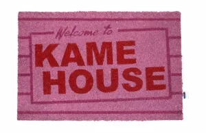 DRAGON BALL FELPUDO PEQUEÑO WELCOME TO KAME HOUSE                          