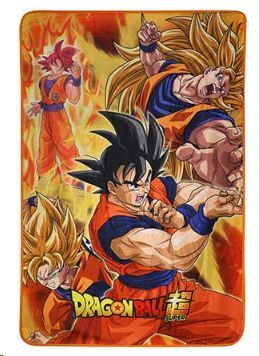 DRAGON BALL SUPER MANTA 100X150CM BATTLE OF GODS GOKU STATES