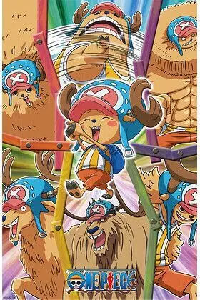 ONE PIECE CHOPPER POSTER 3D