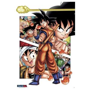 POSTER DRAGON BALL GOKU STORY 61 X 91 CM                                   