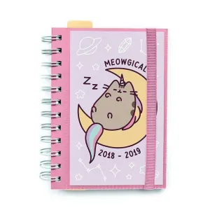 PUSHEEN THE CAT AGENDA ESCOLAR 1 2018/2019